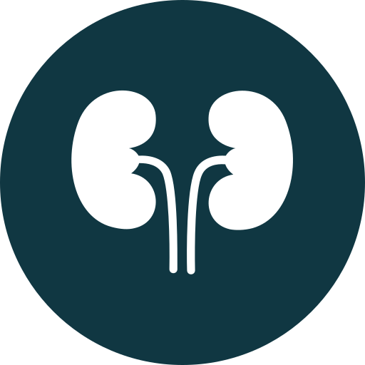Kidneys Generic color fill icon