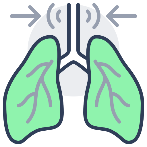 pulmones Generic color lineal-color icono