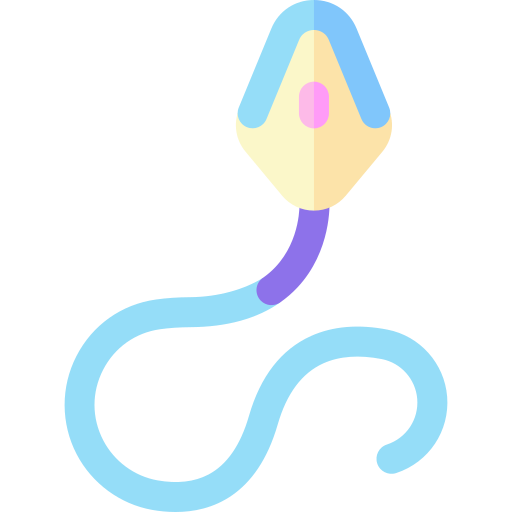 spermatozoïde Basic Rounded Flat Icône