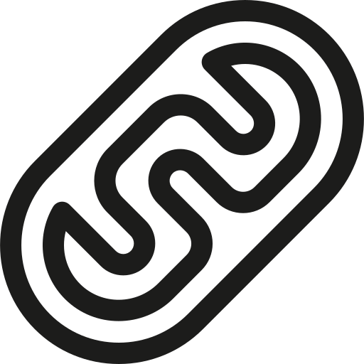 미토콘드리아 Basic Rounded Lineal icon