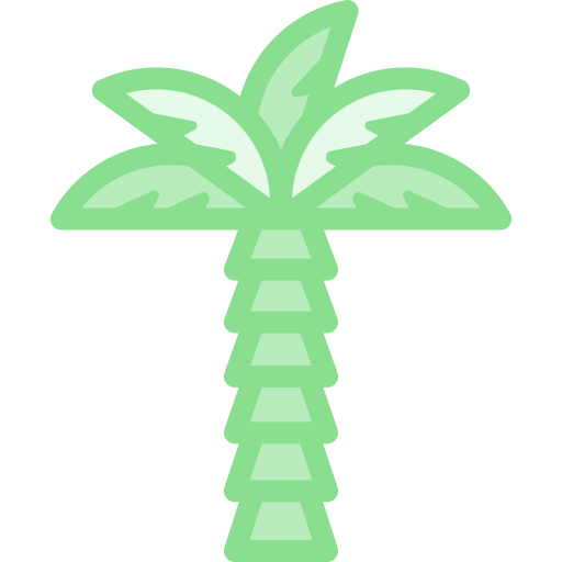 kokosnussbaum Detailed color Lineal color icon