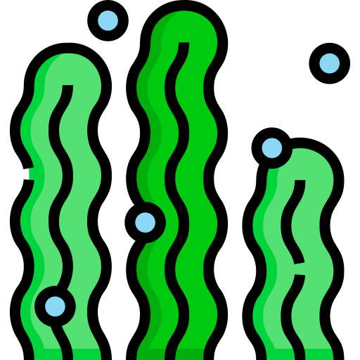 Seaweed Detailed Straight Lineal color icon
