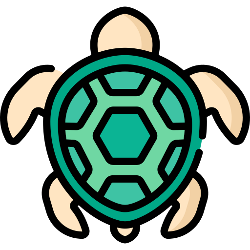 żółw Special Lineal color ikona
