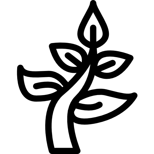 planta Berkahicon Lineal icono