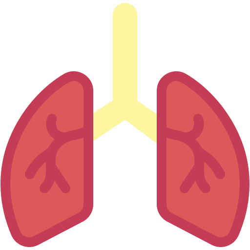 poumons Generic color fill Icône