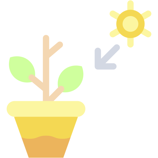 fotosynteza Generic color fill ikona