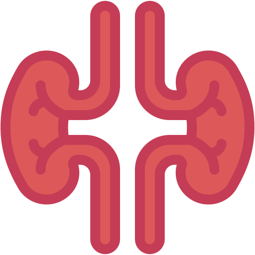 Kidney Generic color fill icon