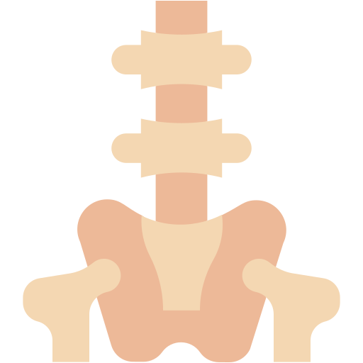 colonna vertebrale Generic color fill icona