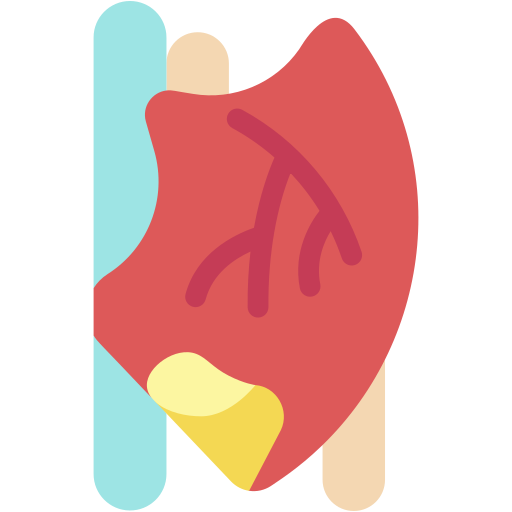 肝臓 Generic color fill icon