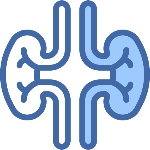 Kidney Generic color lineal-color icon