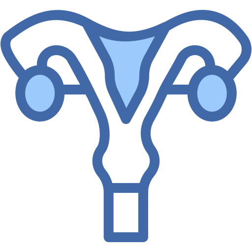 Uterus Generic color lineal-color icon