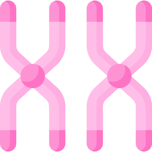 chromosom Special Flat icon