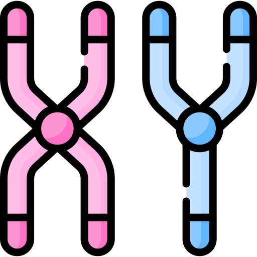 chromosom Special Lineal color ikona