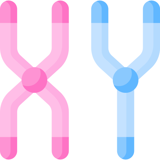 chromosoom Special Flat icoon