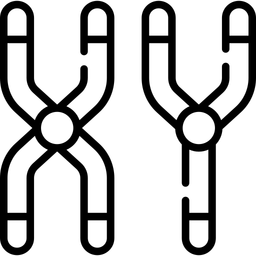 chromosome Special Lineal Icône