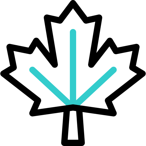 foglia di acero Basic Accent Outline icona