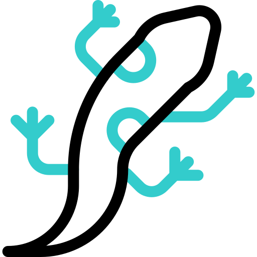 salamandra Basic Accent Outline ikona