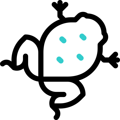 pyxicephalidae Basic Accent Outline ikona