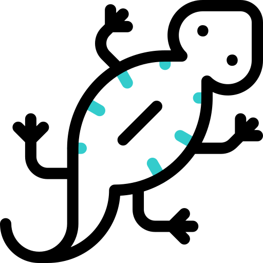 Tylototriton Basic Accent Outline icon