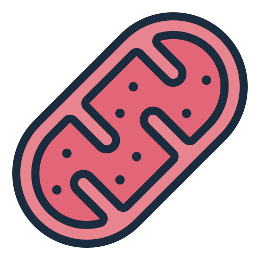 mitochondria Generic color lineal-color ikona