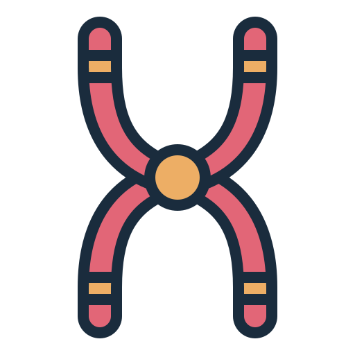 хромосома Generic color lineal-color иконка