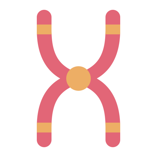 chromosom Generic color fill icon