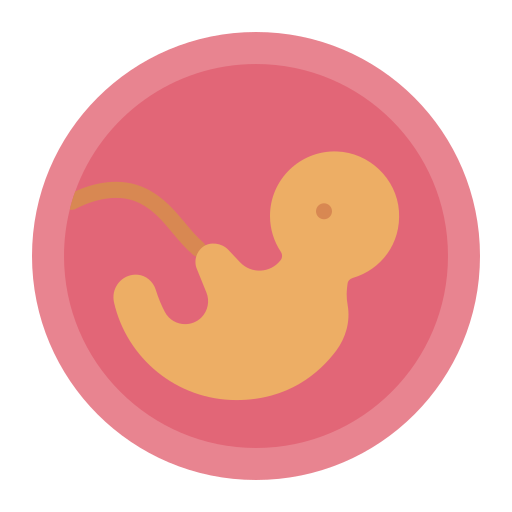 Embryo Generic color fill icon
