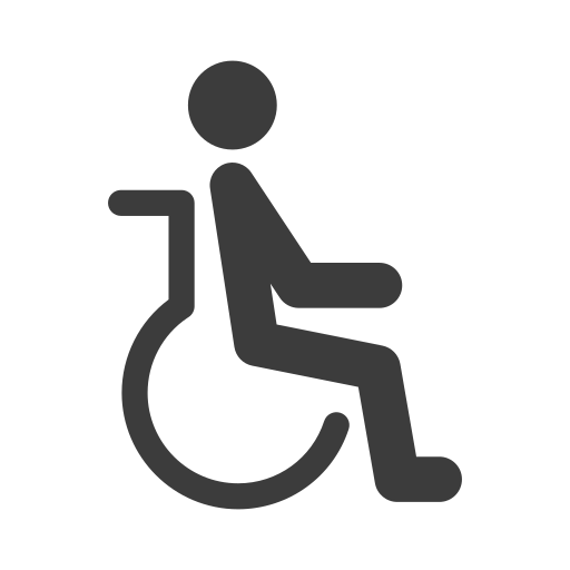 Инвалидность Generic Others иконка