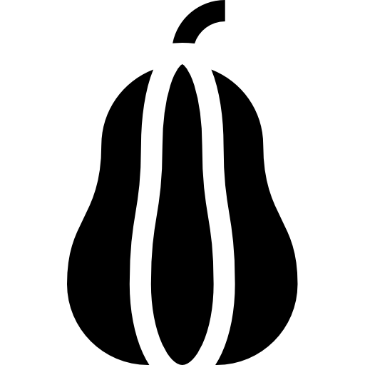 zucca butternut Basic Straight Filled icona