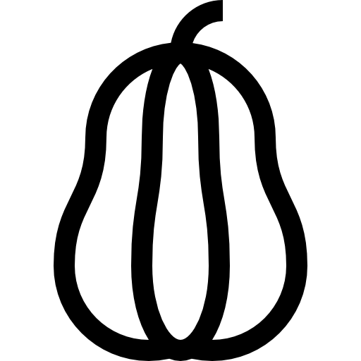 バターナッツスカッシュ Basic Straight Lineal icon