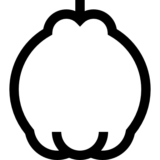 pigwa Basic Straight Lineal ikona
