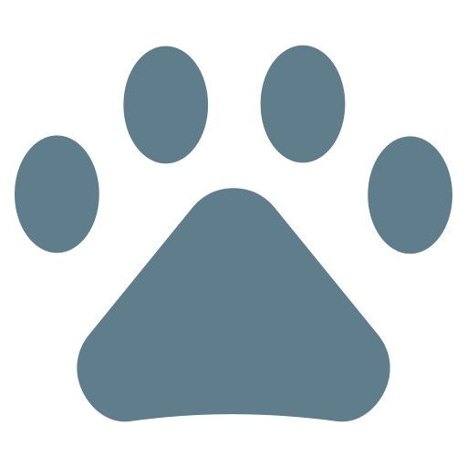 Paws Generic color fill icon