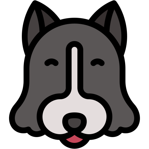 border collie Generic color lineal-color icon