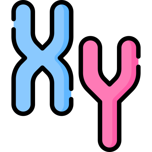 染色体 Special Lineal color icon