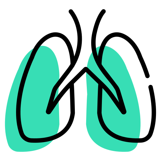 Lungs Generic color lineal-color icon