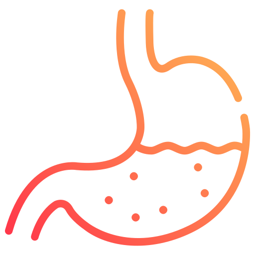 Stomach Generic gradient outline icon