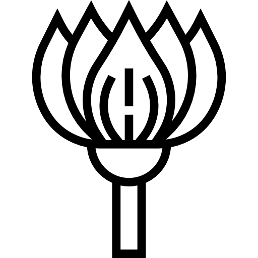 연꽃 Meticulous Line icon