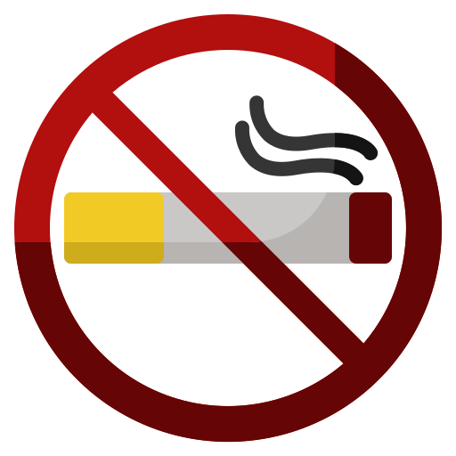Курение запрещено Generic color fill иконка