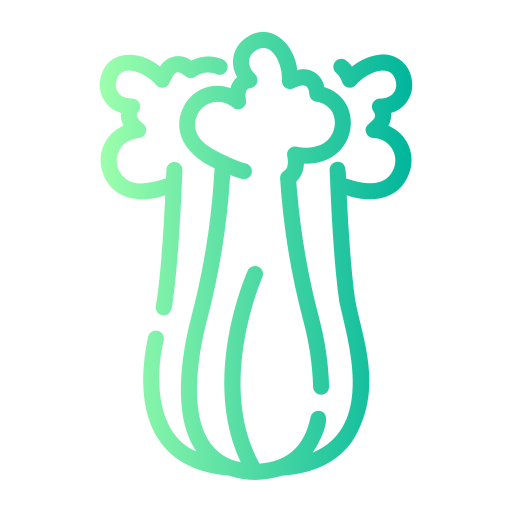 Celery Generic gradient outline icon