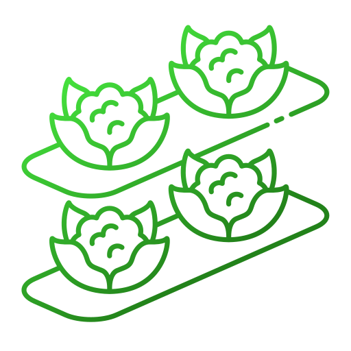 couve-flor Generic gradient outline Ícone