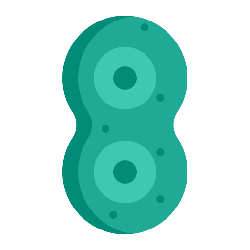 Meiosis Generic color fill icon