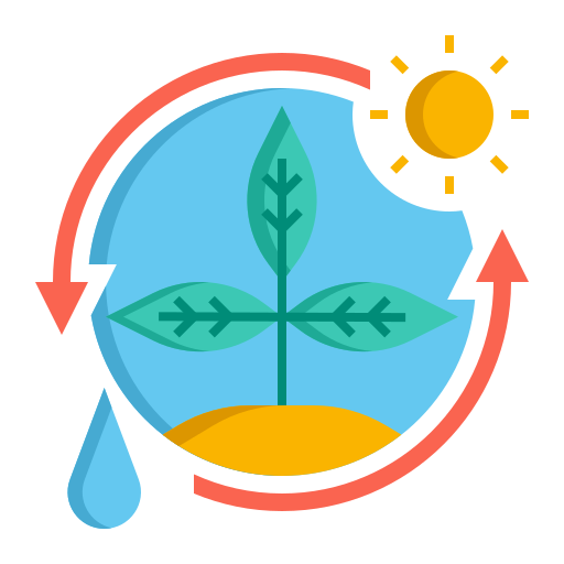 Photosynthesis Generic color fill icon