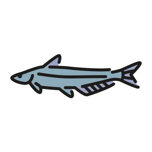 Fish Generic color lineal-color icon