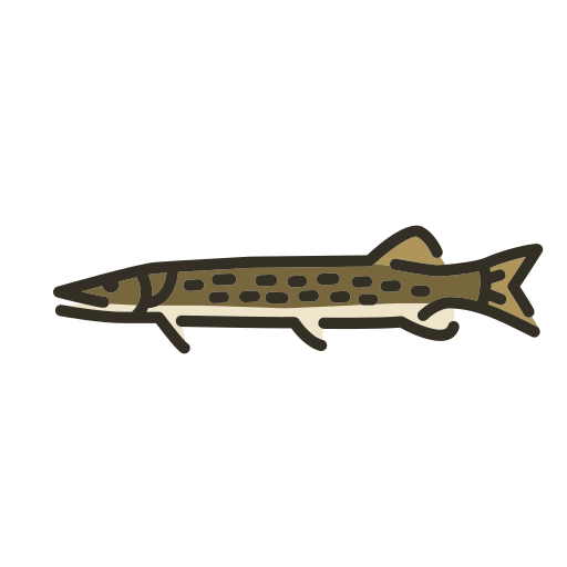 fisch Generic color lineal-color icon