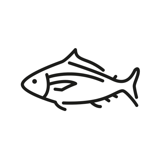 魚 Generic outline icon