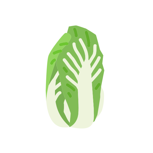 Asian cabbage Generic Others icon