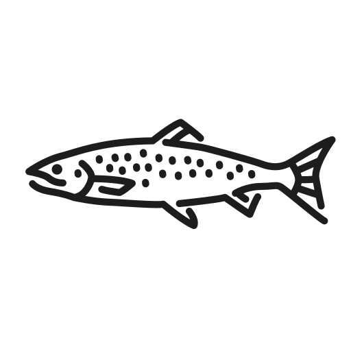 魚 Generic outline icon