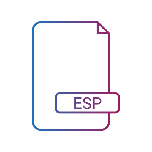 Esp Generic gradient outline icon