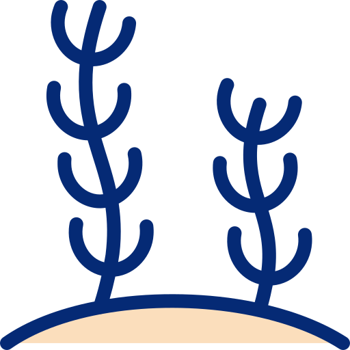 海藻 Basic Accent Lineal Color icon