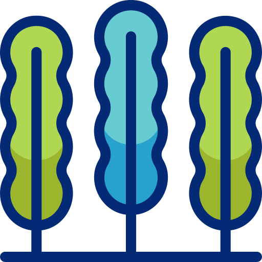 alga marina Basic Accent Lineal Color icona